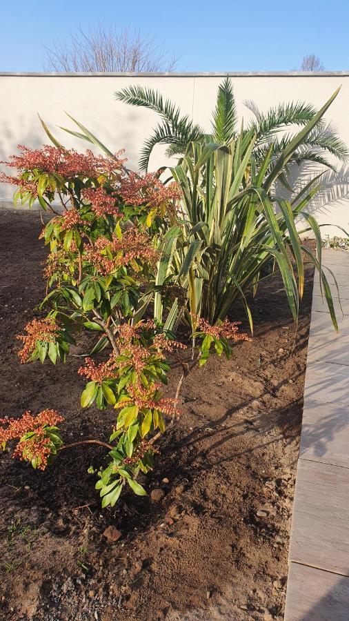 Maison Terrasse Jardin Sans Vis-A-Vis Parking Animaux Acceptes Villa Gujan-Mestras Luaran gambar